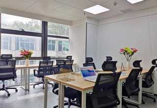 植物呼吸测定仪